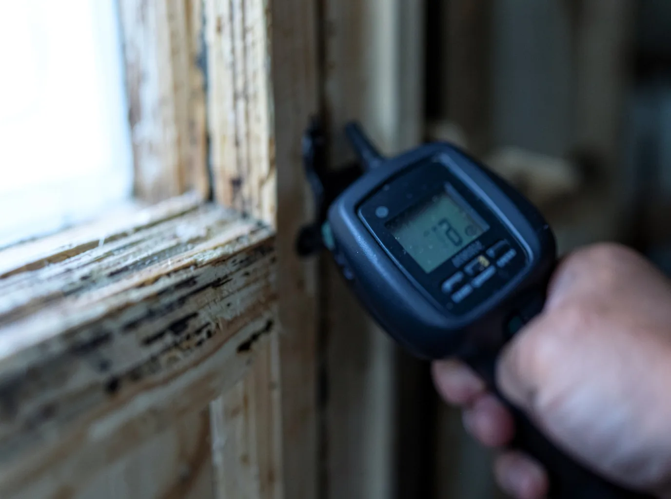 Moisture Inspection And Documentation in Newport, NH